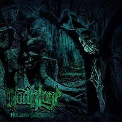 Northlane : Hollow Existence